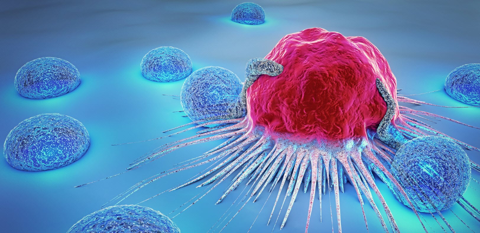 New Zealand lacking quality remedy options for blood most cancers patients