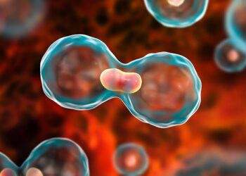Study bares cancer’s economic burden