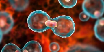 Study bares cancer’s economic burden