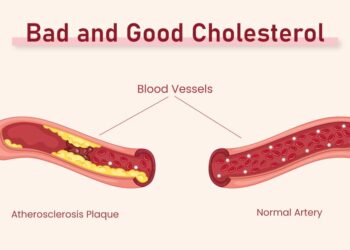Get the Scoop on Good Cholesterol vs. Bad Cholesterol!