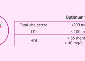 Normal Total Cholesterol 