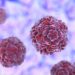 Understanding the Rinovirus: Causes and Prevention