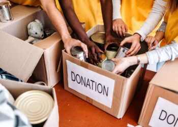 We need your help. Reader donations assist us to deliver the statistics.