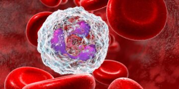 ATP release drives heightened immune responses related