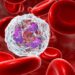 ATP release drives heightened immune responses related